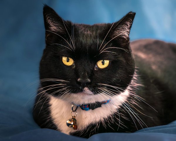 Ästhetik und ethik vereint: die ideale symbiose in fair-trade-mode