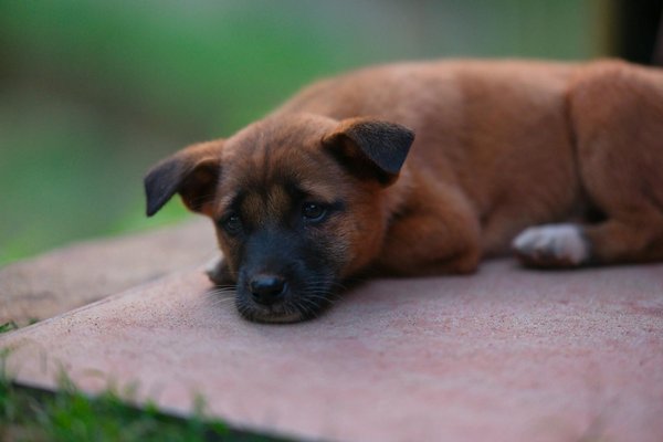 Beherrschen Sie die Kunst der perfekten Caipirinha: Ihr umfassender Leitfaden zum Mixen dieses exotischen brasilianischen Cocktails!